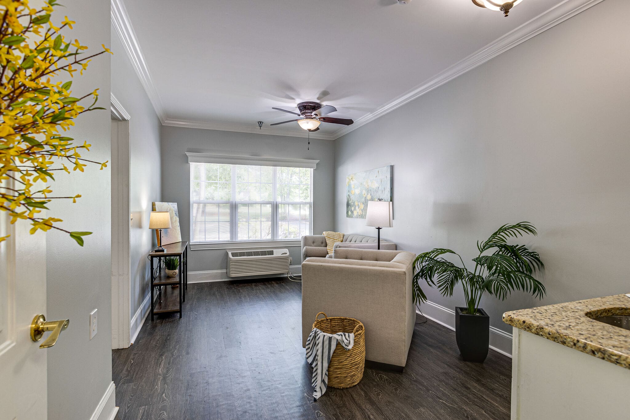 Charter of Franklin Living space