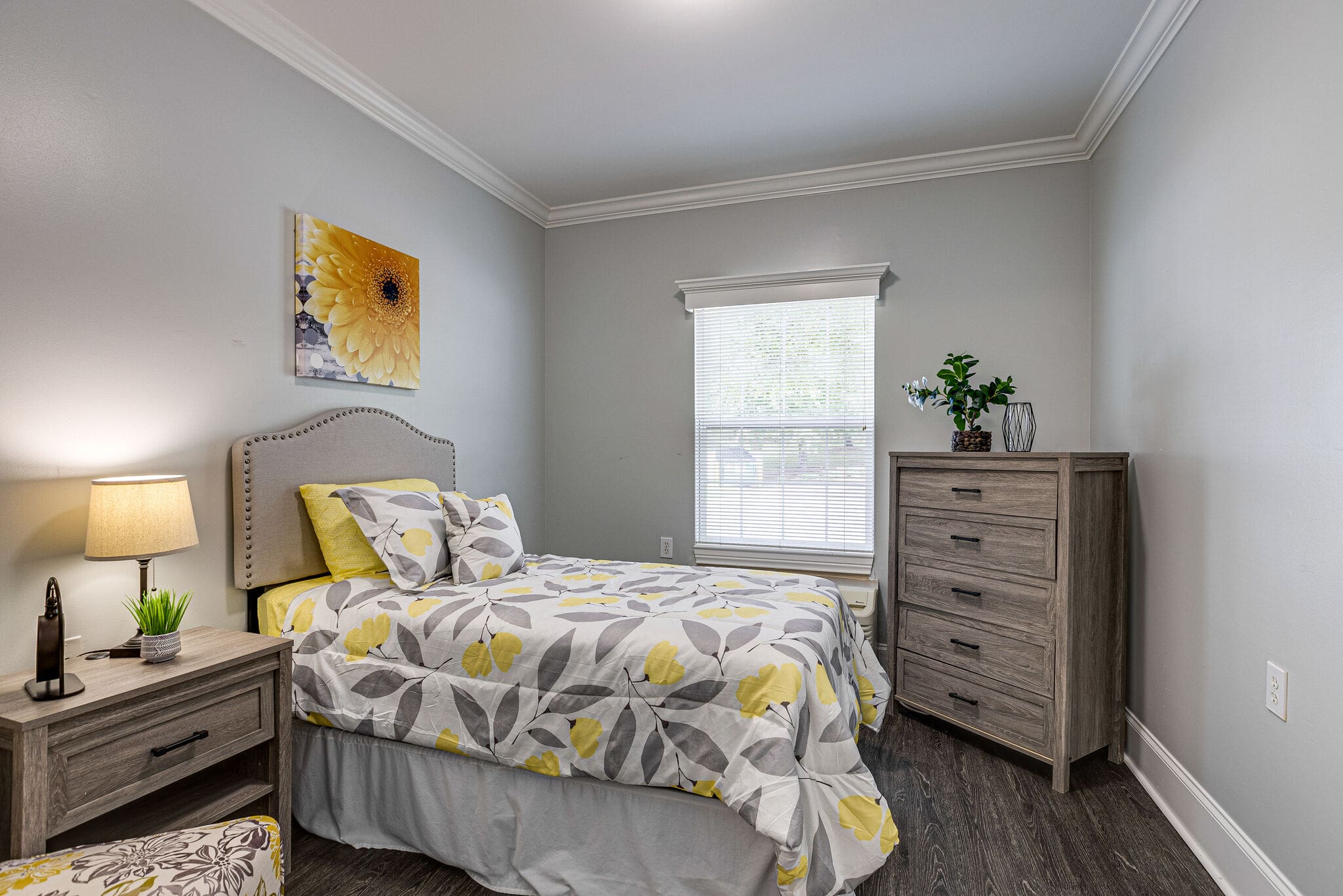 Charter of Franklin Living space